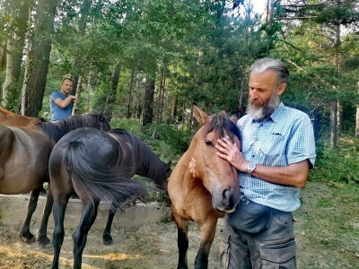 Ergela u selu Malkoč/Lučice iznad Fojnice