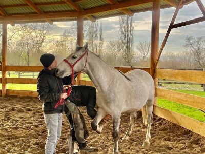 Ergela "Vučijak" Prnjavor