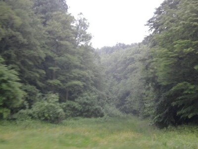 Ergela hrvatskog hladnokrvnjaka