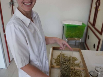 Esma Zjajo: Inovatorica izrađuje Naturgeist - domaću tjesteninu sa jajačkim prefiksom