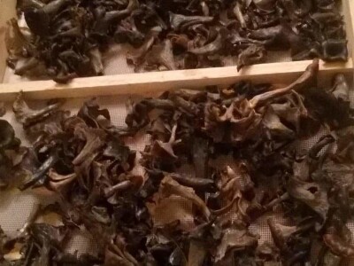 Esma Zjajo: Inovatorica izrađuje Naturgeist - domaću tjesteninu sa jajačkim prefiksom