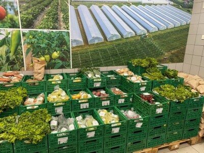 ESOF Donji Vakuf: U ponudi imamo više od 40 različitih asortimana voća i povrća