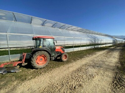 ESOF Donji Vakuf: U ponudi imamo više od 40 različitih asortimana voća i povrća