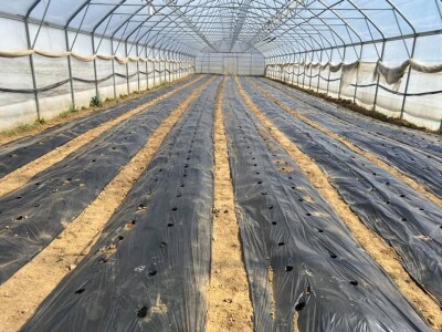 ESOF Donji Vakuf: U ponudi imamo više od 40 različitih asortimana voća i povrća