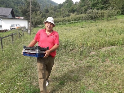 Ešref Garib: Pčele i maline mogu i moraju biti u simbiozi