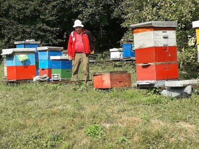 Ešref Garib: Pčele i maline mogu i moraju biti u simbiozi