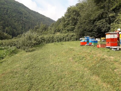 Ešref Garib: Pčele i maline mogu i moraju biti u simbiozi