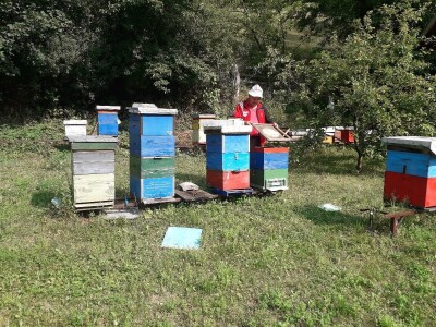 Ešref Garib: Pčele i maline mogu i moraju biti u simbiozi
