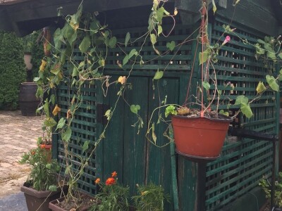 Etno kuća Kontić - Putinci