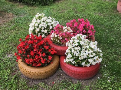 Etno kuća Kontić - Putinci