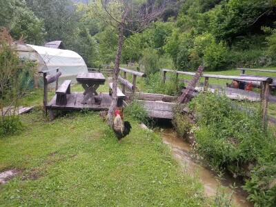 Etno selo "Mirna dolina": Turisti oduševljeni prirodnim ambijentom