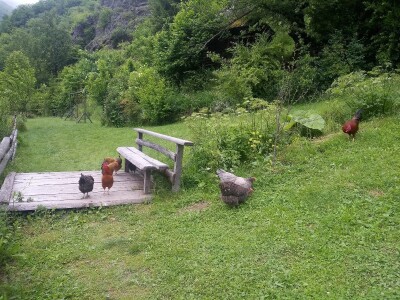 Etno selo "Mirna dolina": Turisti oduševljeni prirodnim ambijentom