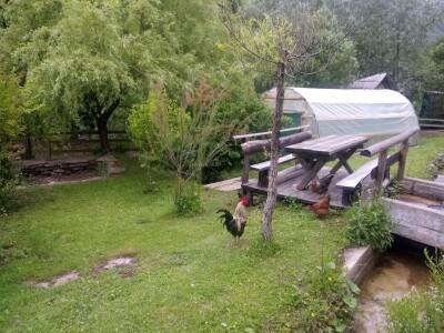 Etno selo "Mirna dolina": Turisti oduševljeni prirodnim ambijentom