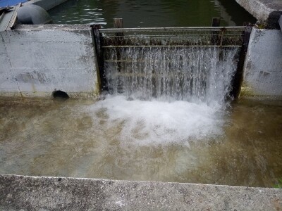 Etno selo "Mirna dolina": Turisti oduševljeni prirodnim ambijentom