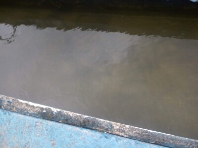 Etno selo "Mirna dolina": Turisti oduševljeni prirodnim ambijentom