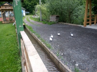 Etno selo "Mirna dolina": Turisti oduševljeni prirodnim ambijentom