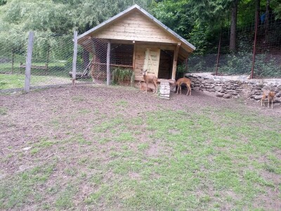 Etno selo "Mirna dolina": Turisti oduševljeni prirodnim ambijentom