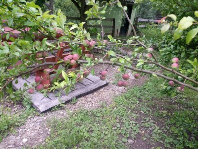 Etno selo "Mirna dolina": Turisti oduševljeni prirodnim ambijentom