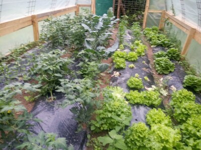 Etno selo "Mirna dolina": Turisti oduševljeni prirodnim ambijentom