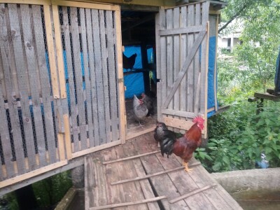 Etno selo "Mirna dolina": Turisti oduševljeni prirodnim ambijentom