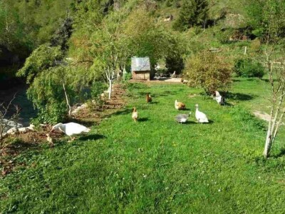 Etno selo "Mirna dolina": Turisti oduševljeni prirodnim ambijentom