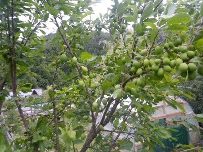 Etno selo "Mirna dolina": Turisti oduševljeni prirodnim ambijentom