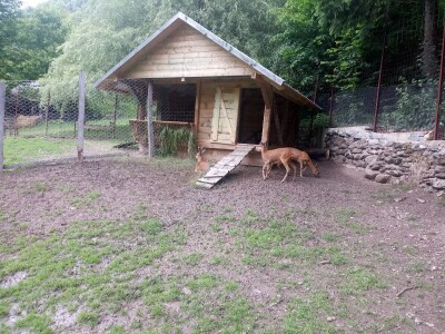 Etno selo "Mirna dolina": Turisti oduševljeni prirodnim ambijentom