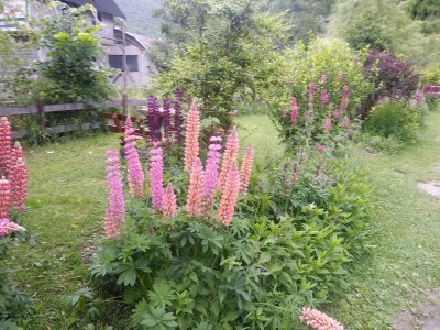 Etno selo "Mirna dolina": Turisti oduševljeni prirodnim ambijentom