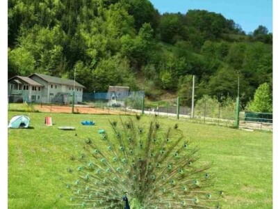 Etno selo "Mirna dolina": Turisti oduševljeni prirodnim ambijentom