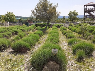 Etnoland - Pakovo selo