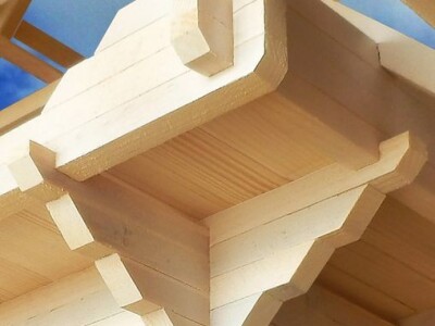 Etnolog Milan Drmić bavi se rijetkim zanatom - seli stare drvene kuće na nove adrese