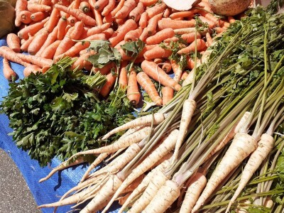 EU strategija Od polja do stola