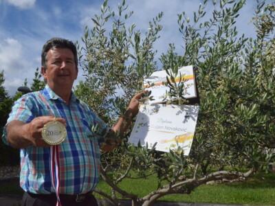 Festival Zlata oljčna vejica