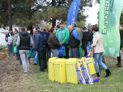 Timac ago - Dan polja kupusa