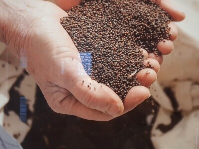 Europska prijestolnica zelja Europska prijestolnica zelja