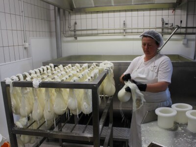 Europski agrarni novinari posjetili siranu Gligora