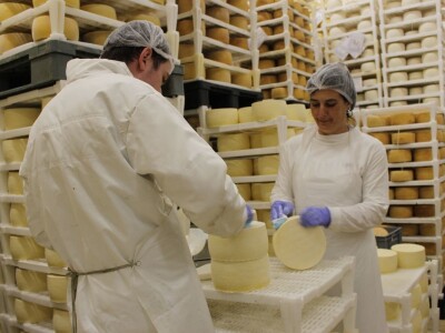 Europski agrarni novinari posjetili siranu Gligora