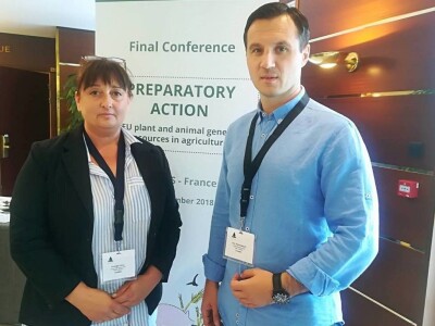 Europski agronomi oduševljeni hrvatskim projektom očuvanja turopoljske svinje