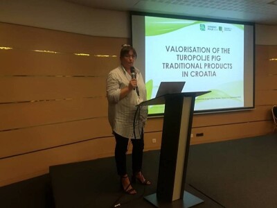 Europski agronomi oduševljeni hrvatskim projektom očuvanja turopoljske svinje