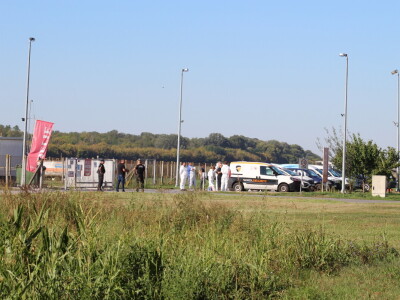 Eutanazija svinja farma Sokolovac