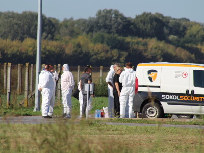 Eutanazija svinja farma Sokolovac