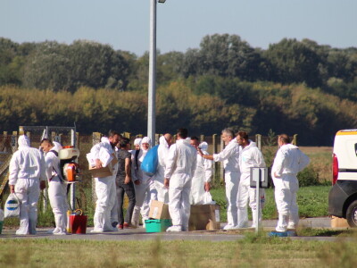 Eutanazija svinja farma Sokolovac