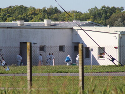 Eutanazija svinja na farmi Sokolovac