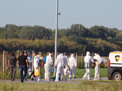 Eutanazija svinja na farmi Sokolovac