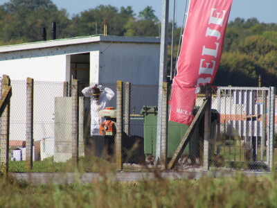 Eutanazija svinja na farmi Sokolovac