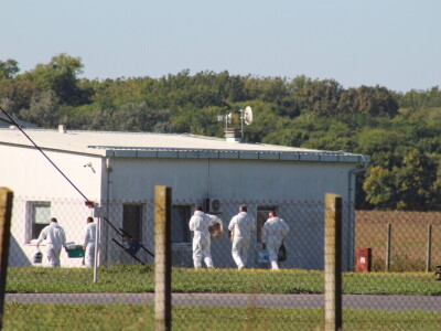 Eutanazija svinja na farmi Sokolovac