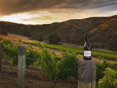 Eva Pemper vina Eva Pemper vina