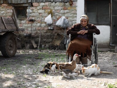 Evo 40 fotografija iz 4 kategorije RuralFoto izbora 2024.