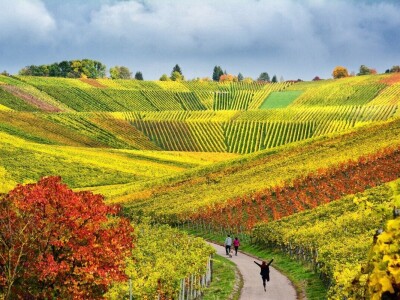 Evo 40 fotografija iz 4 kategorije RuralFoto izbora 2024.