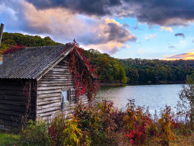Evo 40 fotografija iz 4 kategorije RuralFoto izbora 2024.